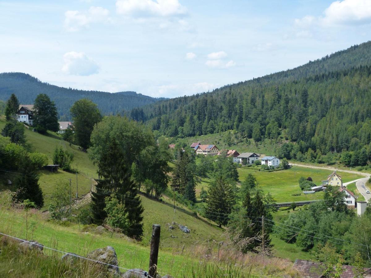 Ferienwohnung Haus Wiesengrund Форбах Екстериор снимка